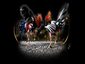 Bí Kíp Cách Chơi Đá Gà Sabong Tại Azbet88 Đỉnh Cao Năm 2025