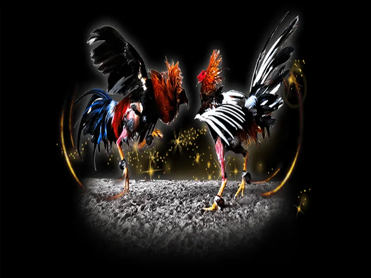 Bí Kíp Cách Chơi Đá Gà Sabong Tại Azbet88 Đỉnh Cao Năm 2025 1 Bí Kíp Cách Chơi Đá Gà Sabong Tại Azbet88 Đỉnh Cao Năm 2025