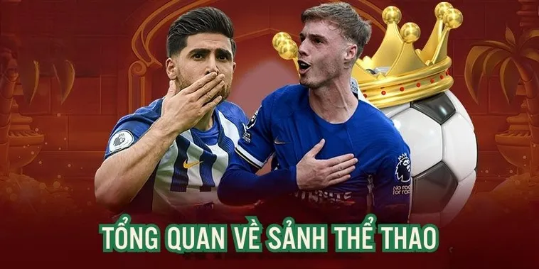 Chinh Phục Đỉnh Cao Cá Cược Tại Sảnh Thể Thao Azbet88 Đẳng Cấp Quốc Tế